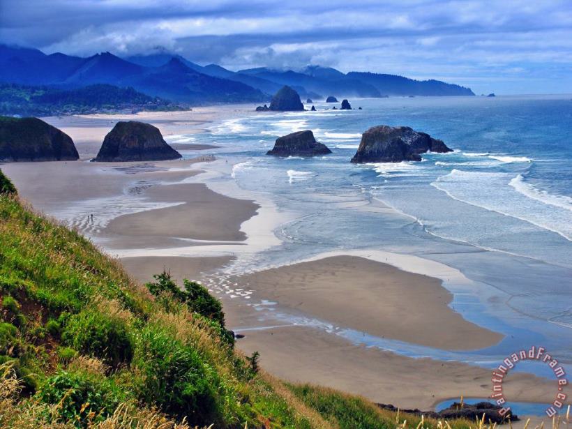 Collection 14 Oregon Coast Art Print
