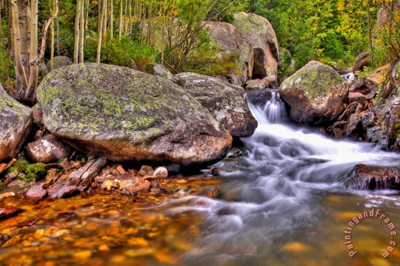 Collection 14 Rocky Mountain Stream Art Print