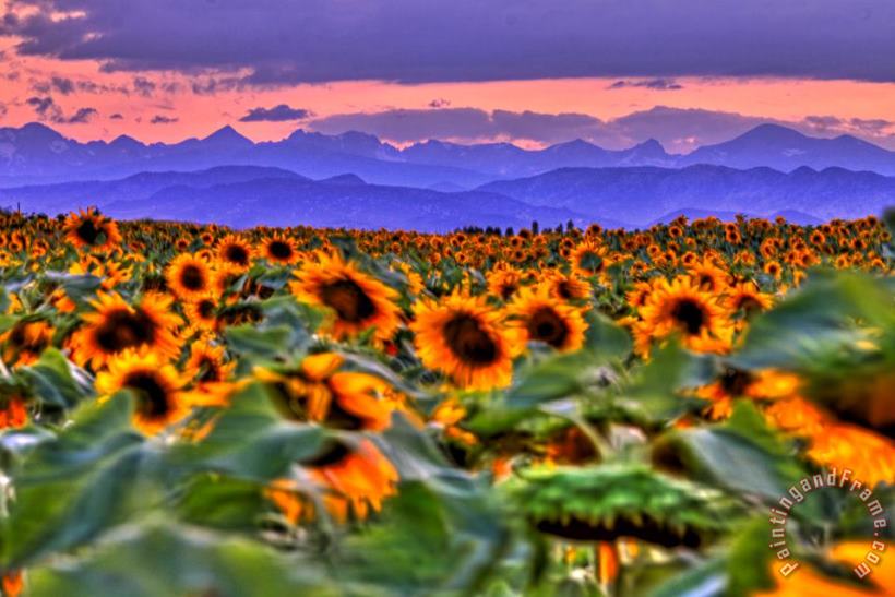 Sunsets and Sunflowers painting - Collection 14 Sunsets and Sunflowers Art Print