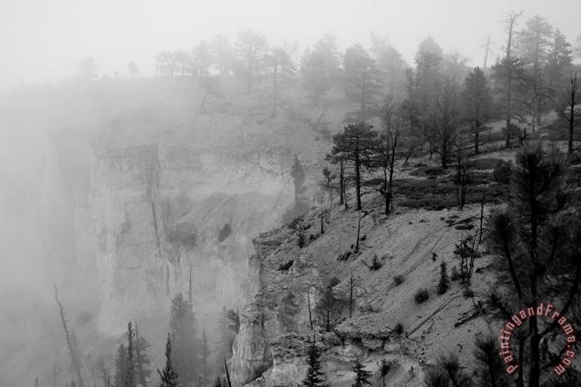 Collection 6 Bryce Canyon Fog Art Print