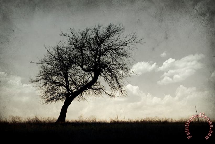 Collection 6 Lone Tree Art Print