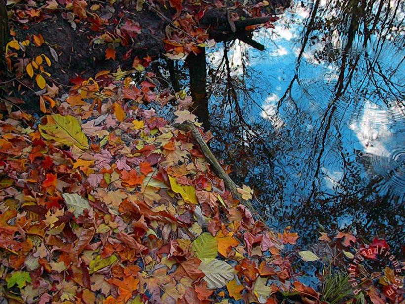 Autumn reflections painting - Collection 8 Autumn reflections Art Print