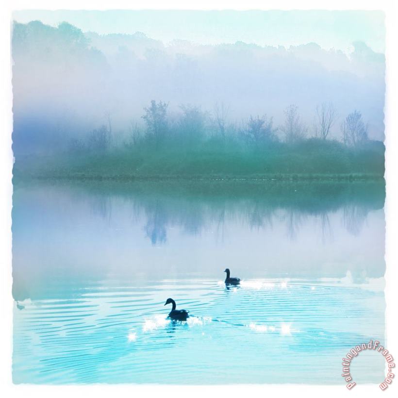 Collection 8 Calm water Art Print