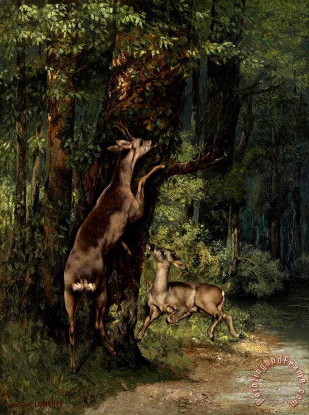 Deer in The Forest painting - Courbet, Gustave Deer in The Forest Art Print