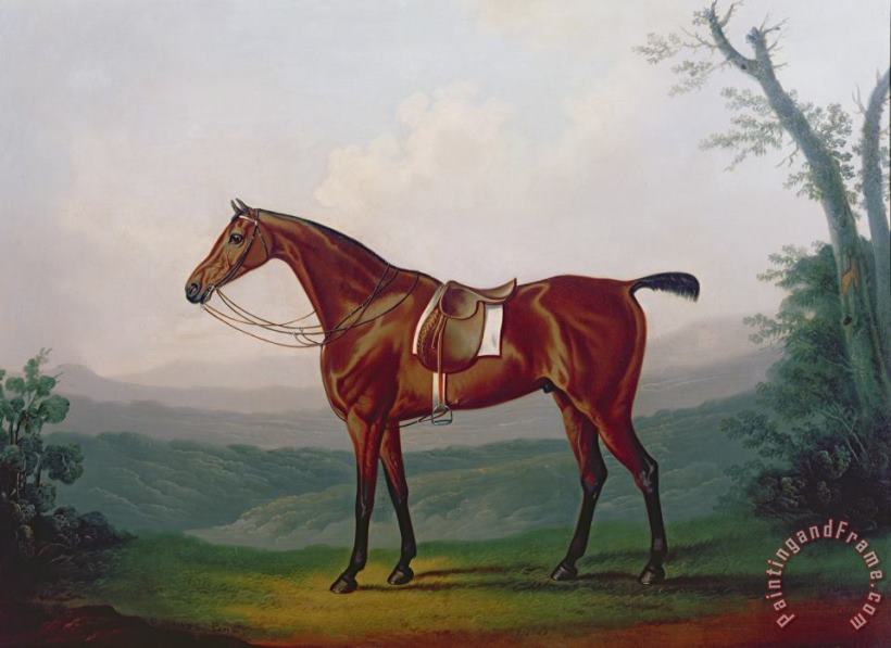 Portrait of a Race Horse painting - Daniel Clowes Portrait of a Race Horse Art Print