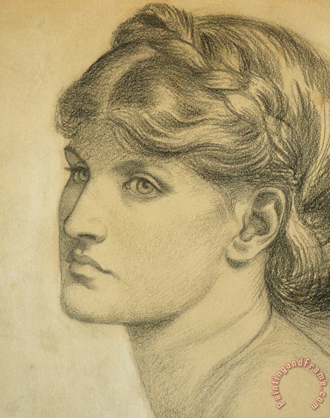 Study Of A Head For The Bower Meadow painting - Dante Charles Gabriel Rossetti Study Of A Head For The Bower Meadow Art Print