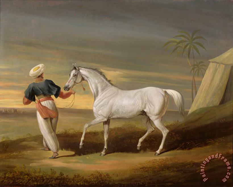 Signal - a grey Arab with a Groom in the Desert painting - David of York Dalby Signal - a grey Arab with a Groom in the Desert Art Print