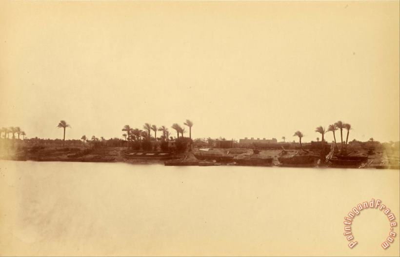 Despoineta Banks of The Nile with Palm Trees And Boats 3 Art Painting