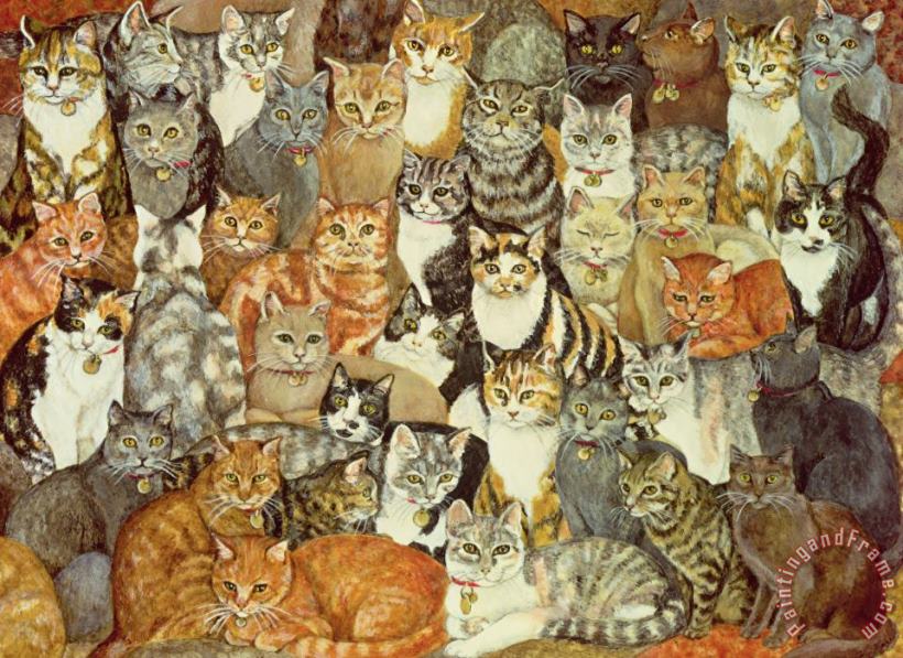 Cat Spread painting - Ditz Cat Spread Art Print