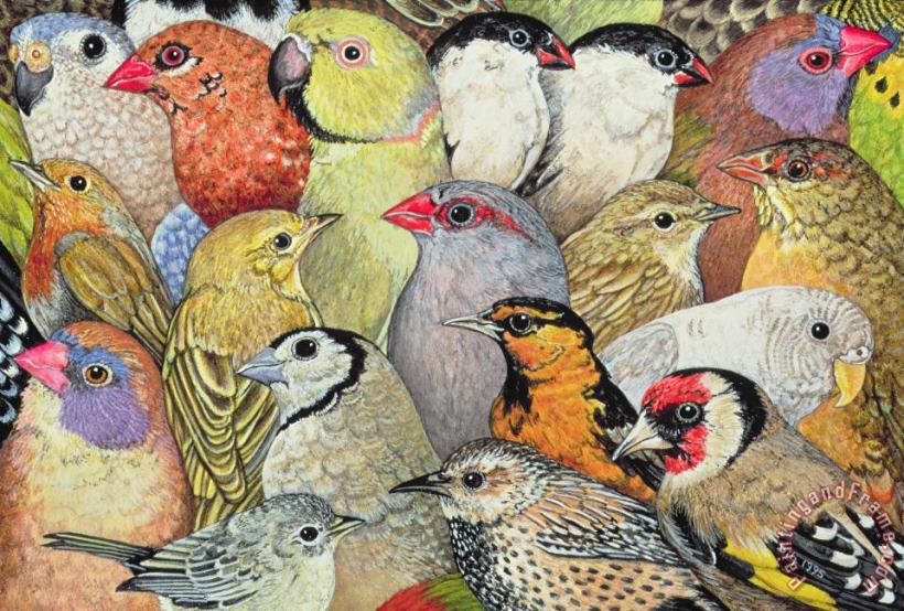 Patchwork Birds painting - Ditz Patchwork Birds Art Print