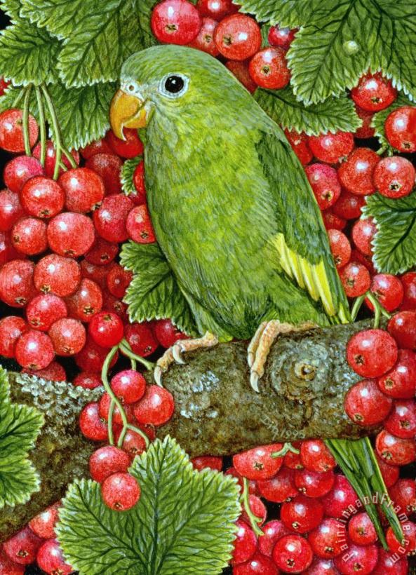 Redcurrant Parakeet painting - Ditz Redcurrant Parakeet Art Print