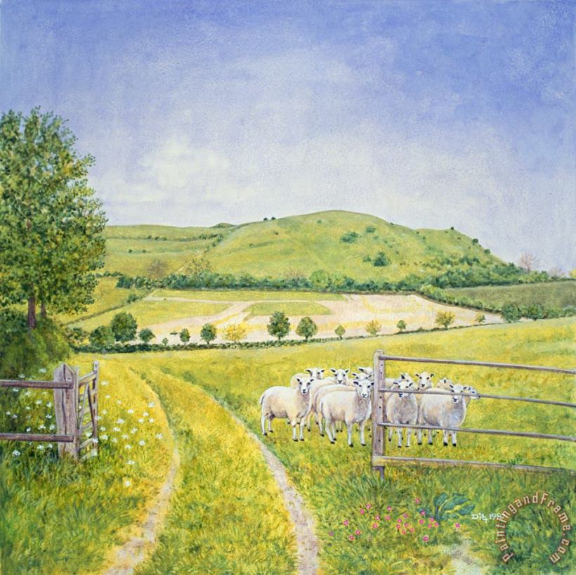 Wessex Sheep painting - Ditz Wessex Sheep Art Print