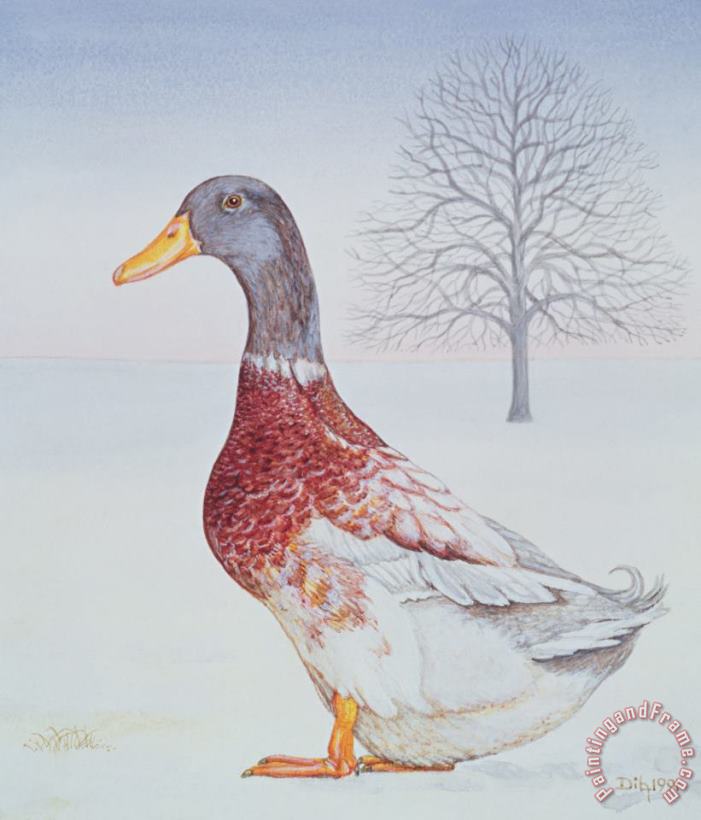 Winter Drake painting - Ditz Winter Drake Art Print
