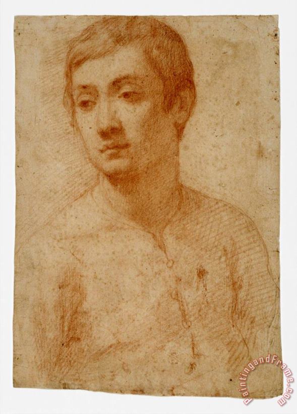 The Head of a Youth painting - Domenico Cresti The Head of a Youth Art Print