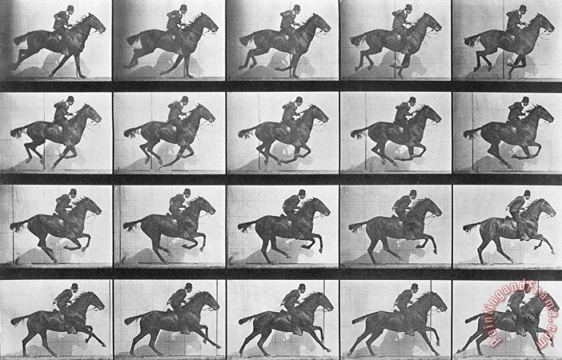 Eadweard Muybridge Galloping Horse Art Painting