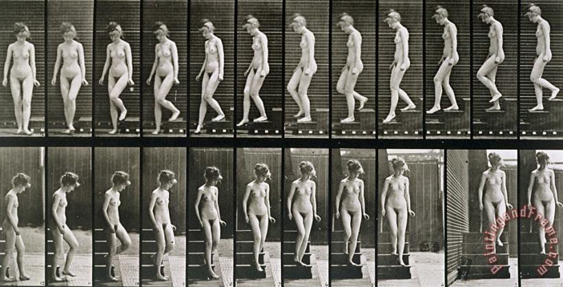 Eadweard Muybridge Woman Descending Steps Art Print