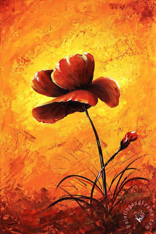 Edit Voros My flowers - Red poppy Art Painting