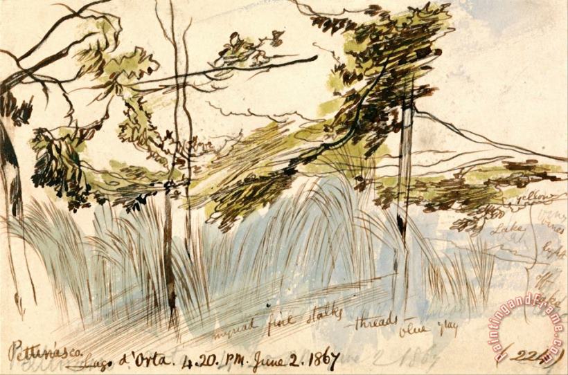 Edward Lear Pettenasco, Lago D'orta, 4 20 Pm, 2 June 1867 (224) Art Painting