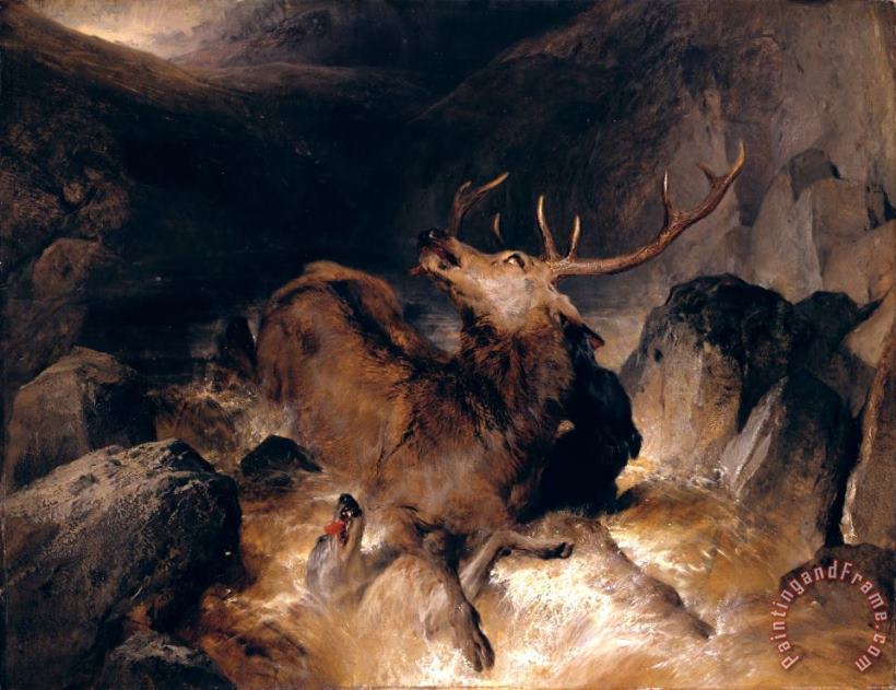 Edwin Landseer Deer And Deer Hounds in a Mountain Torrent Art Print