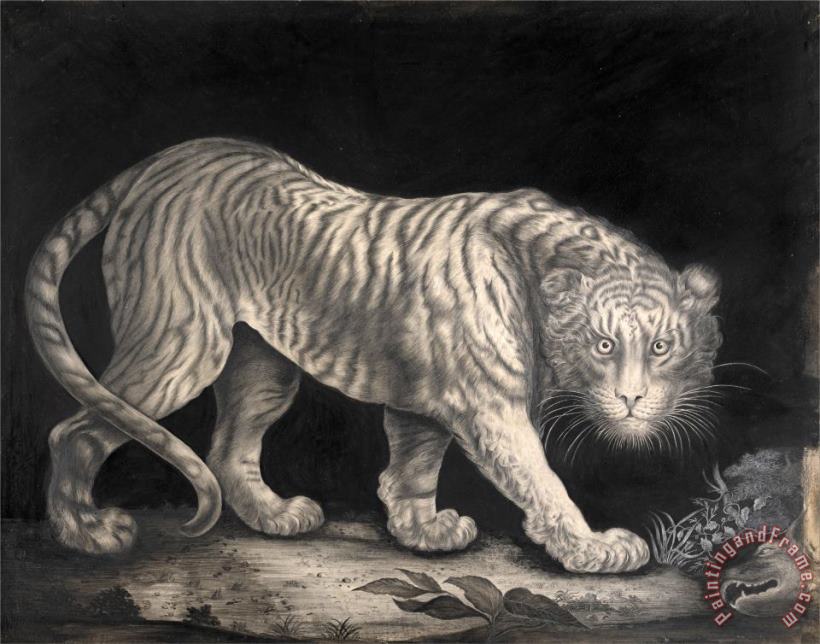 A Prowling Tiger painting - Elizabeth Pringle A Prowling Tiger Art Print