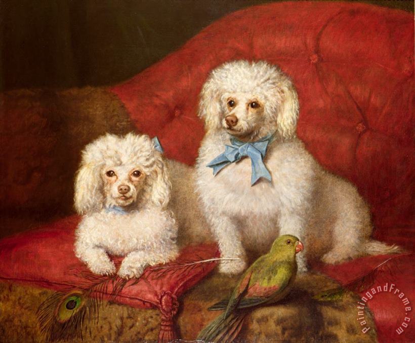 English School A Pair of Poodles Art Painting