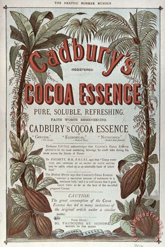 Advertisement For Cadburs Cocoa Essence From The Graphic painting - English School Advertisement For Cadburs Cocoa Essence From The Graphic Art Print