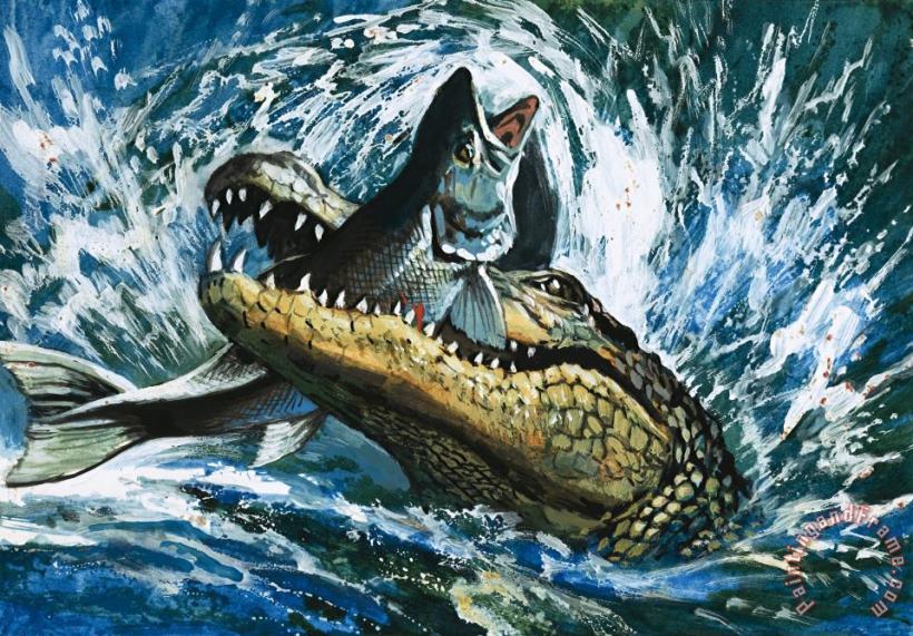 English School Alligator Eating Fish Art Painting