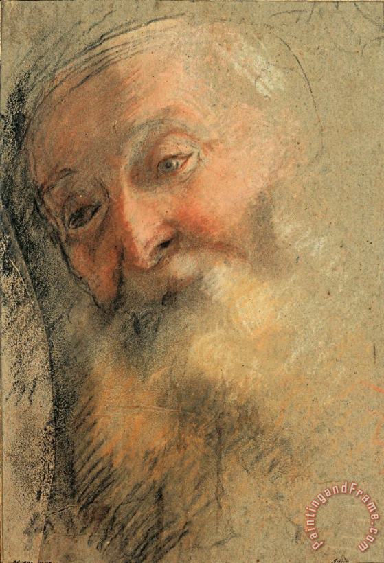Head of an Old Bearded Man, 1584 1586 painting - Federico Barocci Head of an Old Bearded Man, 1584 1586 Art Print