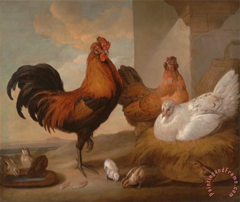 Francis Barlow Domestic Cock, Hens, And Chicks Art Print