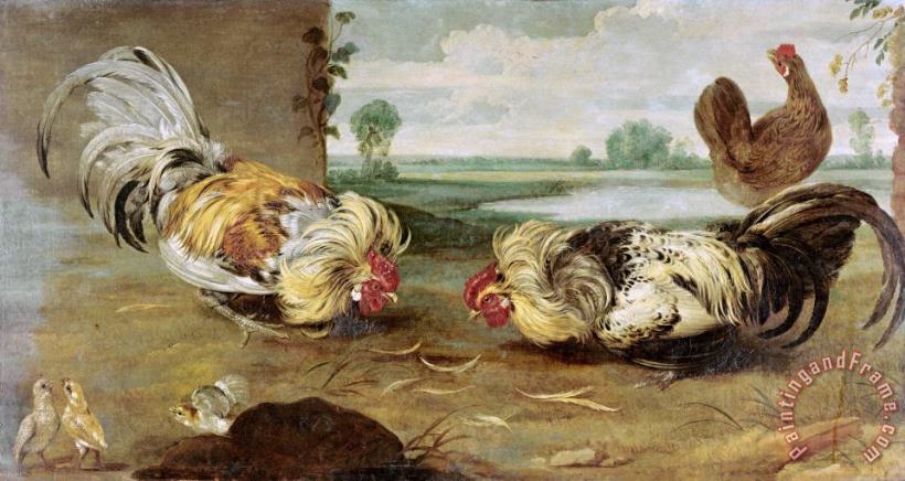 Frans Snyders A Cock Fight Art Painting