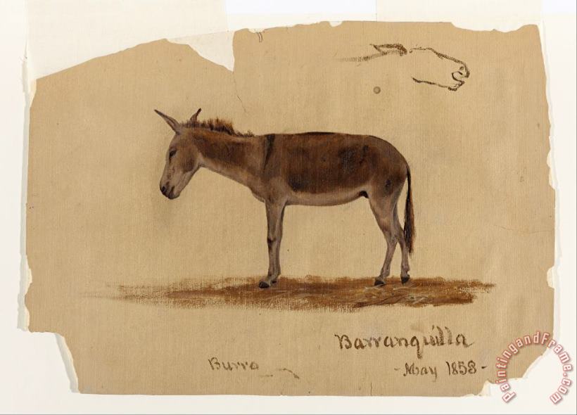 A Donkey, Baranquilla, Columbia painting - Frederic Edwin Church A Donkey, Baranquilla, Columbia Art Print