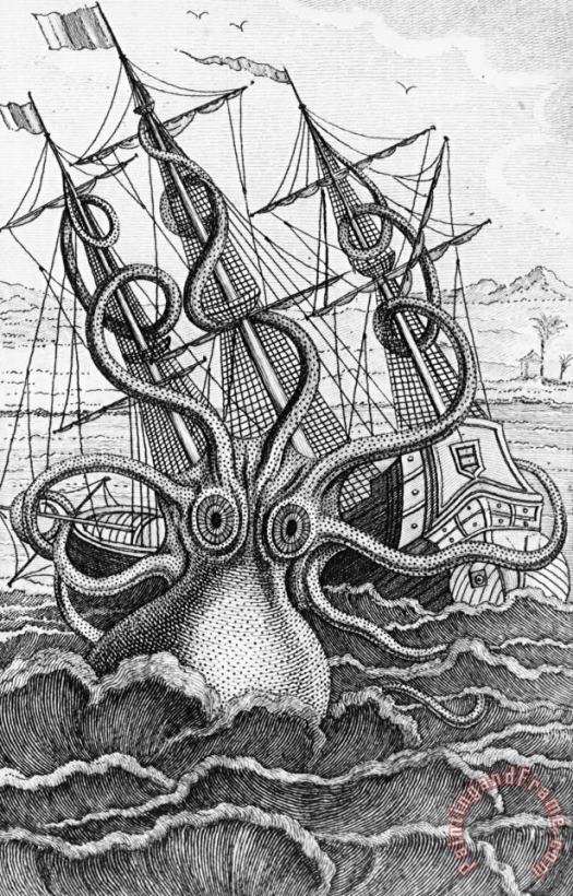 Giant Octopus Illustration From L Histoire Naturelle Generale Et Particuliere Des Mollusques painting - French School Giant Octopus Illustration From L Histoire Naturelle Generale Et Particuliere Des Mollusques Art Print