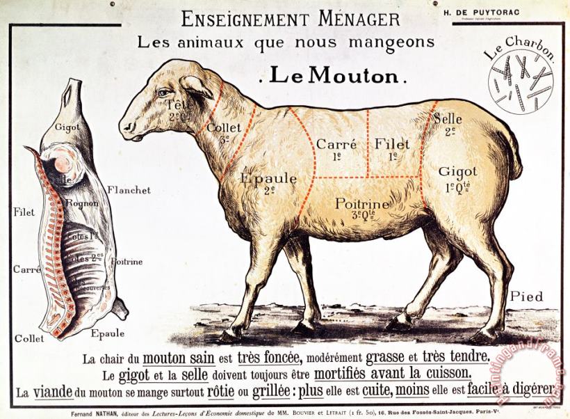 French School Mutton Art Painting