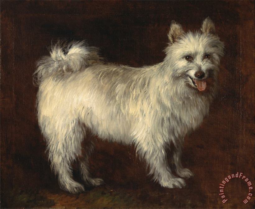 Spitz Dog painting - Gainsborough, Thomas Spitz Dog Art Print