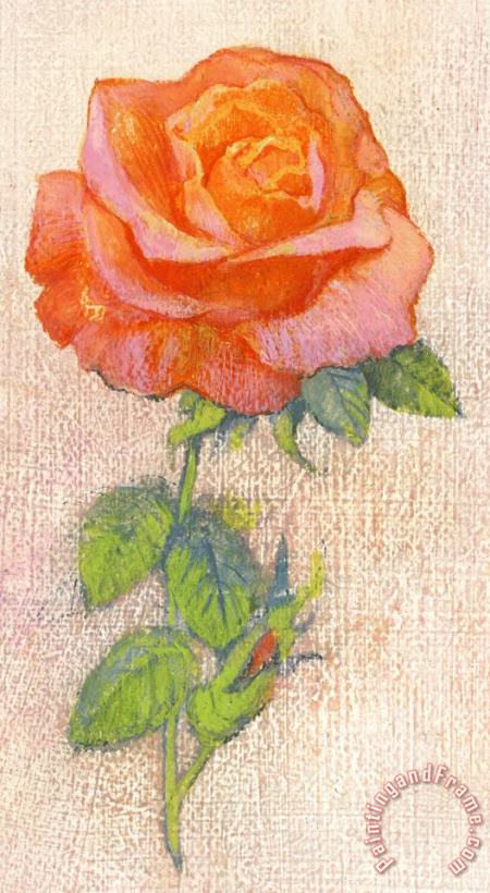 George Adamson Pale Rose Art Painting