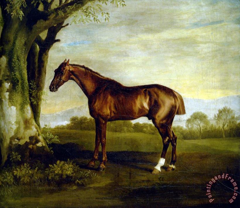 A Chestnut Racehorse painting - George Stubbs A Chestnut Racehorse Art Print