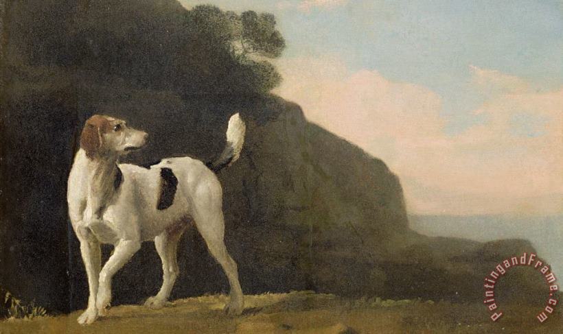 A Foxhound painting - George Stubbs A Foxhound Art Print