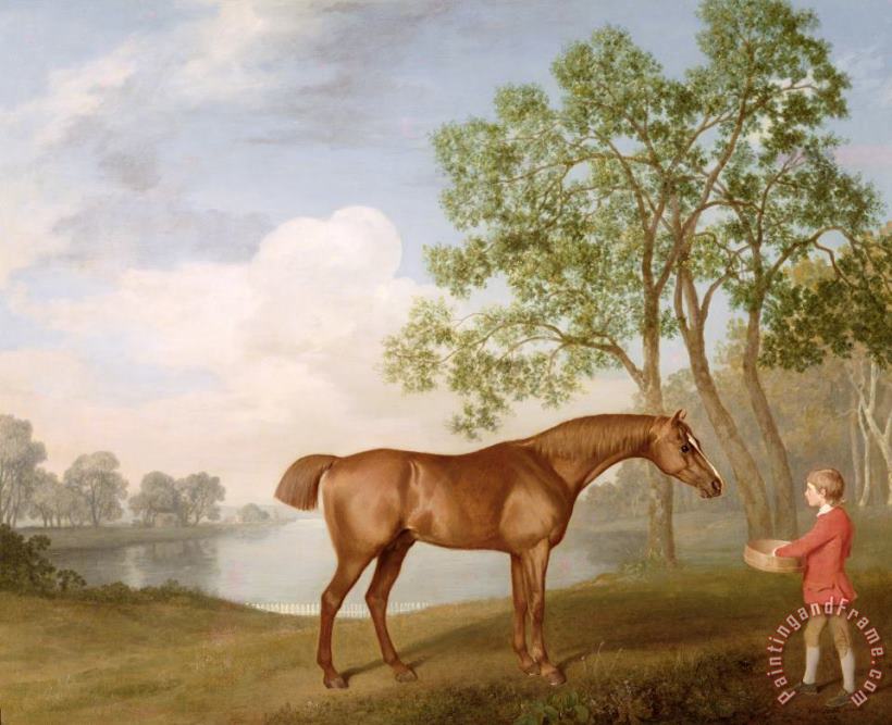 Pumpkin with a Stable-Lad painting - George Stubbs Pumpkin with a Stable-Lad Art Print