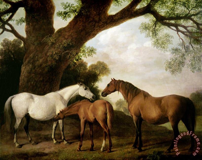 Two Mares and a Foal painting - George Stubbs Two Mares and a Foal Art Print