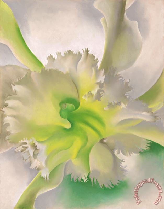 An Orchid painting - Georgia O'keeffe An Orchid Art Print