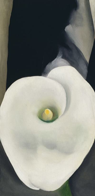 Calla Lily for Alfred, 1927 painting - Georgia O'keeffe Calla Lily for Alfred, 1927 Art Print