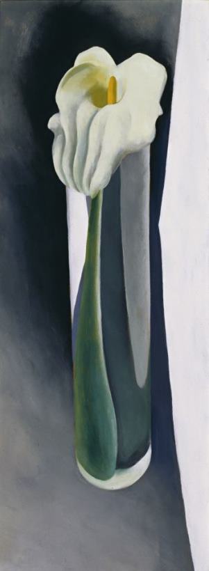 Calla Lily in Tall Glass No. 2, 1923 painting - Georgia O'keeffe Calla Lily in Tall Glass No. 2, 1923 Art Print