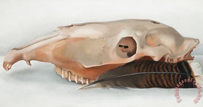 Horizontal Horse's Or Mule's Skull with Feather painting - Georgia O'Keeffe Horizontal Horse's Or Mule's Skull with Feather Art Print