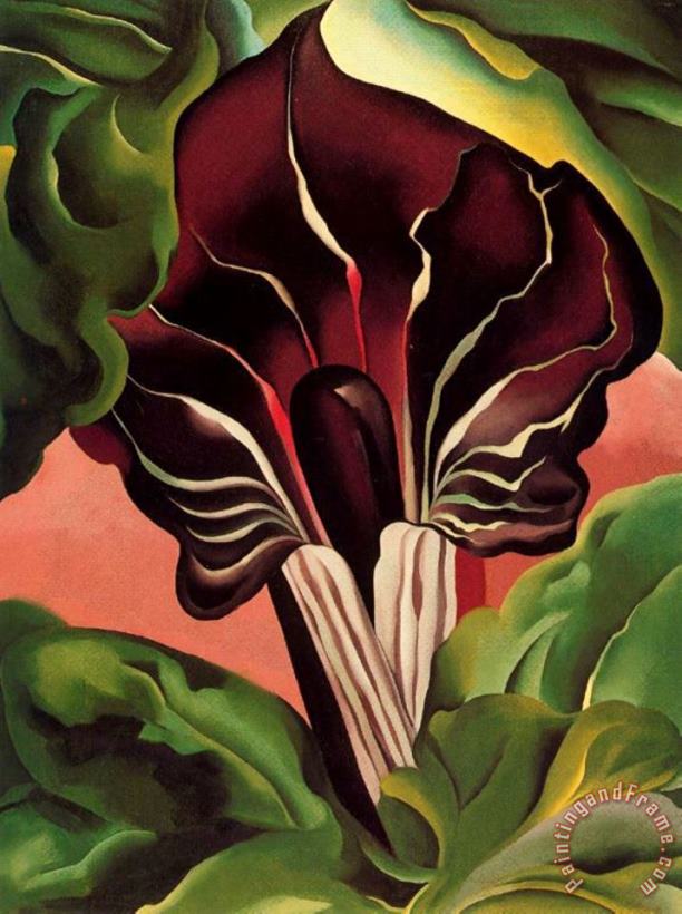 Georgia O'keeffe Jack in The Pulpit II Art Painting