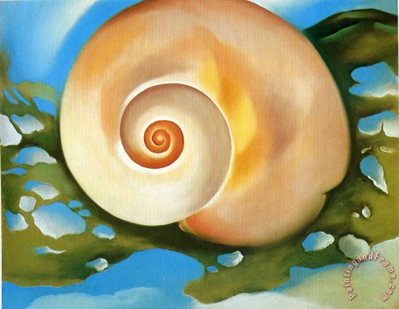 Georgia O'keeffe Pink Shell with Seaweed Art Painting