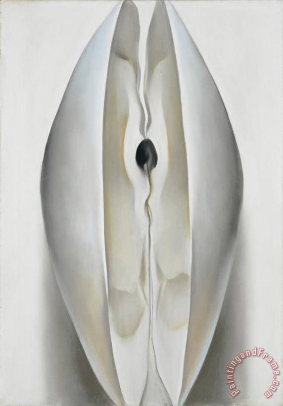Slightly Open Clam Shell painting - Georgia O'Keeffe Slightly Open Clam Shell Art Print