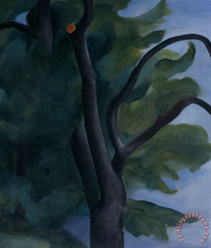 Tree with Cut Limb, 1920 painting - Georgia O'keeffe Tree with Cut Limb, 1920 Art Print