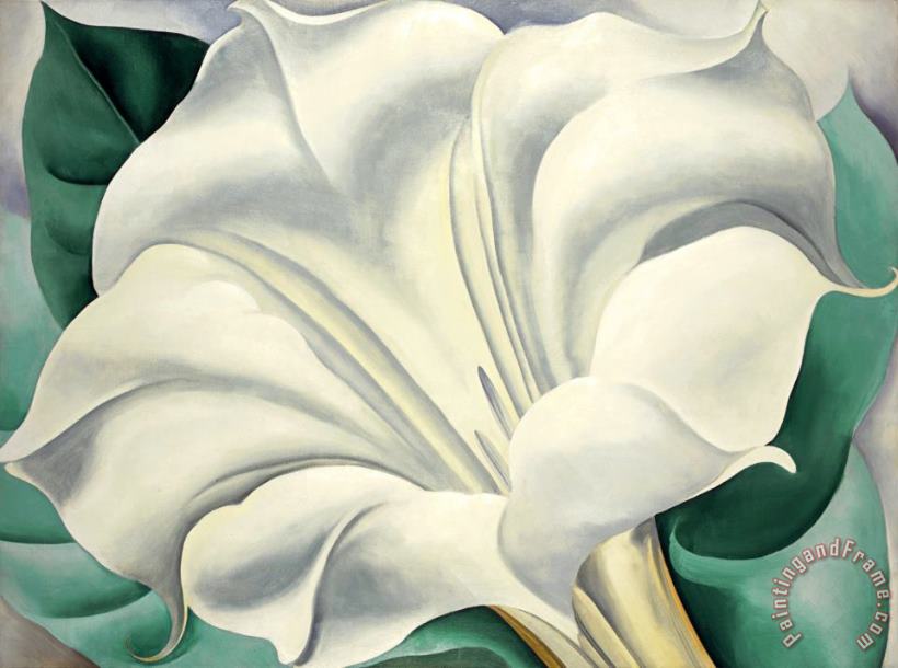 Georgia O'Keeffe White Trumpet Flower Art Print
