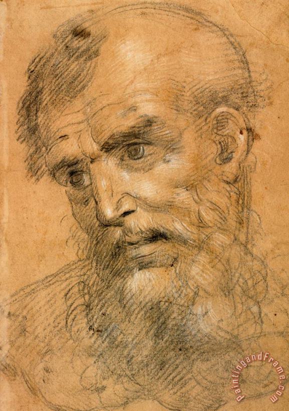 Giovanni Antonio Sogliani Head of a Bearded Man (recto); Study for a Sacra Conversazione (verso) Art Print