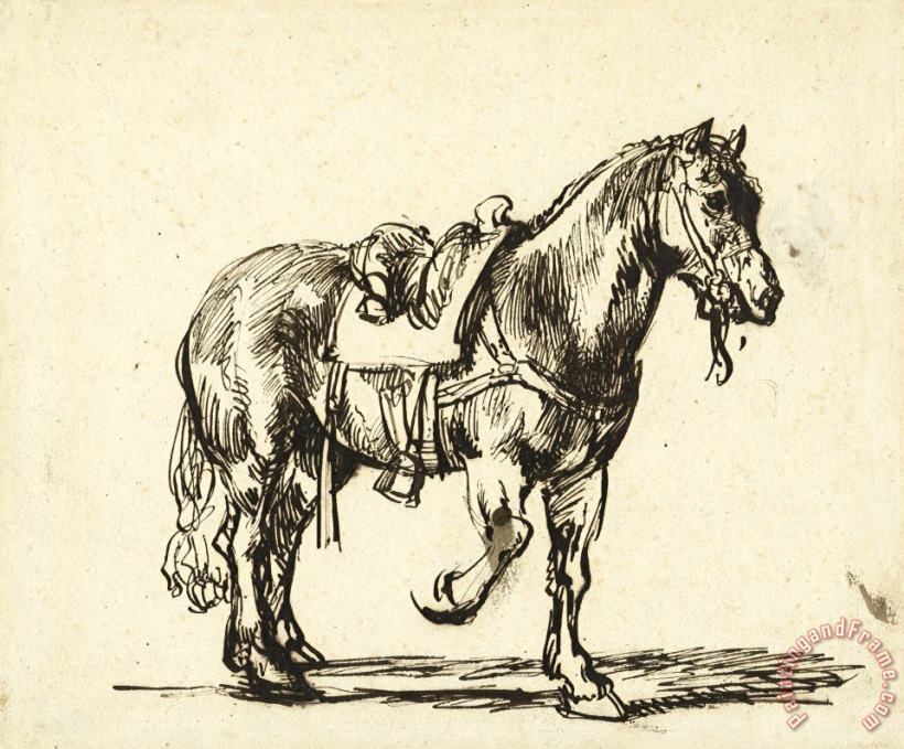 Paard Van De Barmhartige Samaritaan painting - Govaert Flinck Paard Van De Barmhartige Samaritaan Art Print
